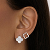 Серьги серебро 925 клевер ван клиф van cleef Miestilo